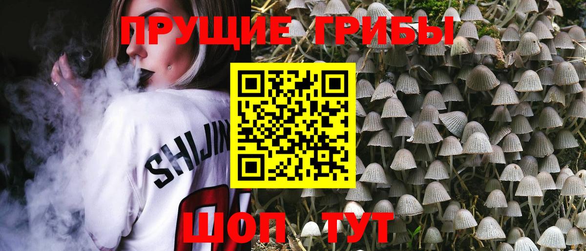 Новоалександровск  Псилоцибиновые грибы мухоморы  Вход с VPN 
